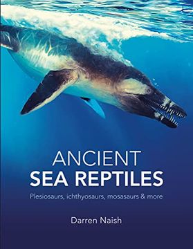 portada Ancient sea Reptiles (in English)