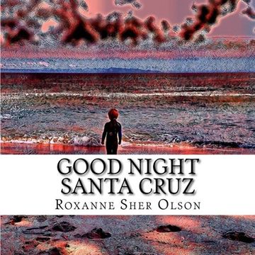 portada Good Night Santa Cruz