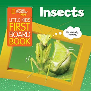 portada Little Kids First Board Book: Insects (en Inglés)