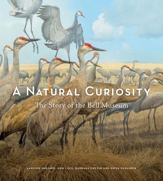 portada A Natural Curiosity: The Story of the Bell Museum (en Inglés)