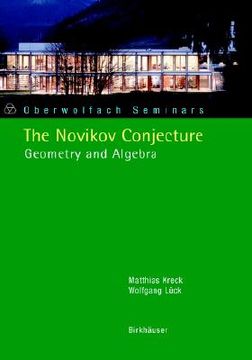 portada The Novikov Conjecture: Geometry and Algebra (Oberwolfach Seminars) (en Inglés)