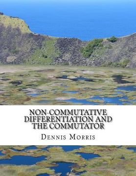 portada Non-commutative Differentiation and the Commutator: The Search for the Fermion Content of the Universe (en Inglés)