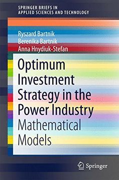 portada Optimum Investment Strategy in the Power Industry: Mathematical Models (Springerbriefs in Applied Sciences and Technology) 