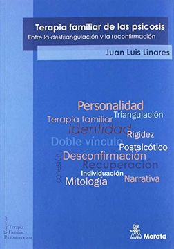 portada Terapia Familiar de la Psicosis. Entre la Destriangulacion y la r Econfirmacion (in Spanish)