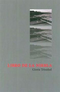 portada Libro de la niebla