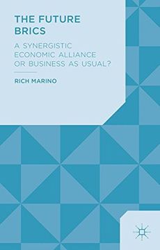 portada The Future Brics: A Synergistic Economic Alliance or Business as Usual? (en Inglés)