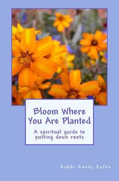 portada Bloom Where You Are Planted: A spiritual guide to putting down roots (en Inglés)