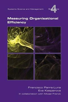 portada Measuring Organisational Efficiency (in English)