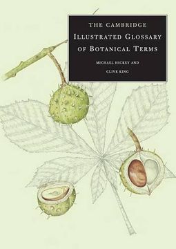 portada The Cambridge Illustrated Glossary of Botanical Terms (en Inglés)