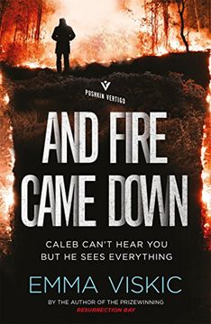 portada And Fire Came Down (Pushkin Vertigo) (en Inglés)