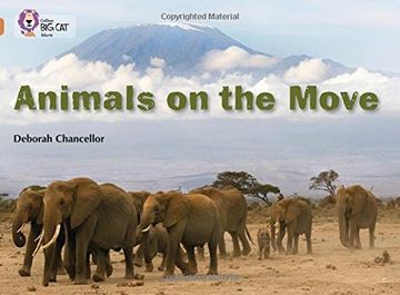 portada Animals on the Move: Band 12/Copper (en Inglés)