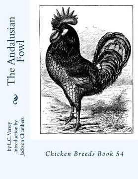 portada The Andalusian Fowl: Chicken Breeds Book 54 (en Inglés)