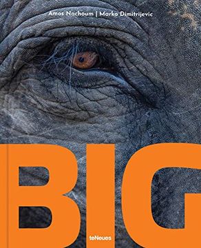 portada Big a Photographic Album of the World'S Largest Animals (in German)