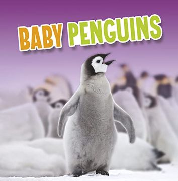 portada Baby Penguins (Baby Animals) 