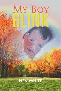 portada my boy blink (en Inglés)
