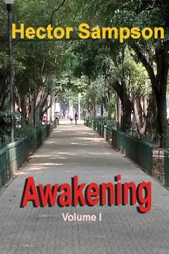 portada Awakening: Volume I (en Inglés)