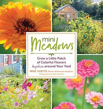 portada Mini Meadows: Grow a Little Patch of Colorful Flowers Anywhere Around Your Yard (en Inglés)