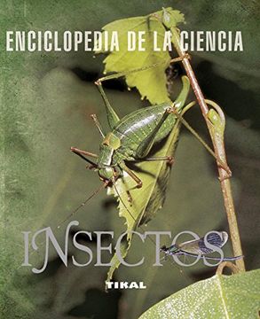 Insectos