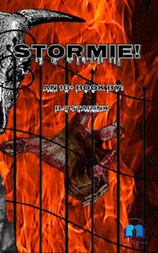 portada Stormie!: An 18+ book (in English)