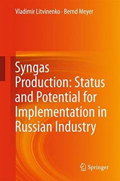 portada Syngas Production: Status and Potential for Implementation in Russian Industry