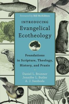 portada Introducing Evangelical Ecotheology: Foundations in Scripture, Theology, History, and Praxis (in English)