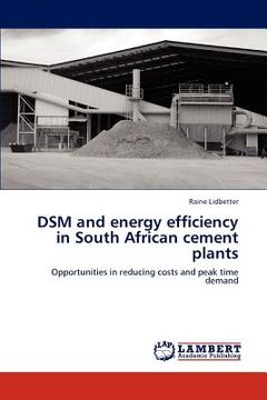 portada dsm and energy efficiency in south african cement plants (en Inglés)