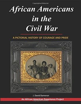 portada African Americans in the Civil War (en Inglés)