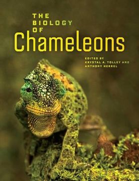 portada The Biology of Chameleons (in English)
