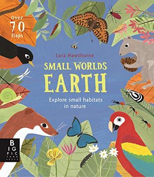 portada Small Worlds: Earth 