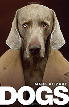 portada Dogs: A Philosophical Guide to our Best Friends 