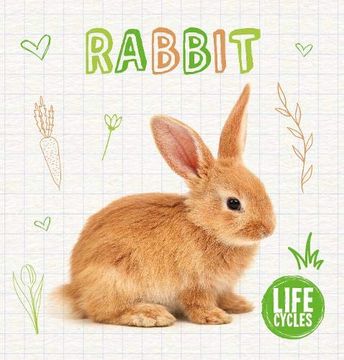 portada Rabbit (Life Cycles) (en Inglés)