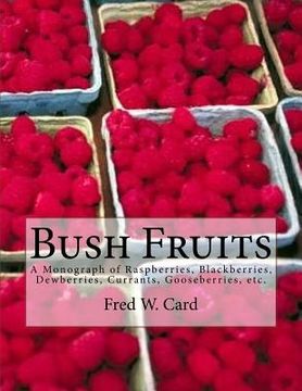 portada Bush Fruits: A Monograph of Raspberries, Blackberries, Dewberries, Currants, Gooseberries, etc. (en Inglés)