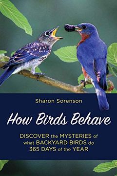 portada How Birds Behave: Discover the Mysteries of What Backyard Birds do 365 Days of the Year (en Inglés)