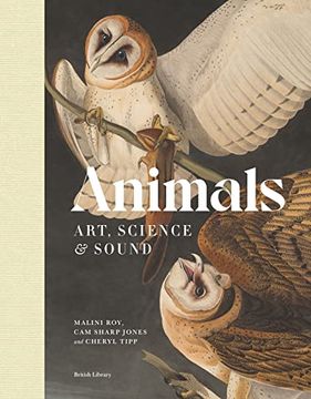 portada Animals (en Inglés)