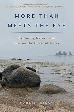 portada More Than Meets the Eye: Exploring Nature and Loss on the Coast of Maine (en Inglés)
