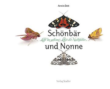 portada Schönbär und Nonne: Licht ins geheime Leben der Nachfalter (in German)