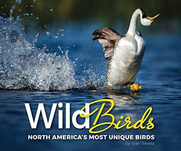 portada Wild Birds: North America's Most Unique Birds (Wildlife Appreciation) 