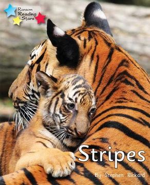 portada Stripes: Phonics Phase 1 (en Inglés)