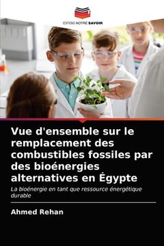 portada Vue d'ensemble sur le remplacement des combustibles fossiles par des bioénergies alternatives en Égypte (in French)