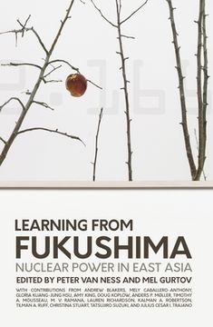 portada Learning from Fukushima: Nuclear power in East Asia