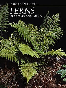 portada ferns to know and grow (in English)