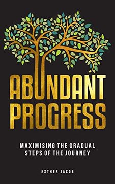portada Abundant Progress: Maximising the Gradual Steps of the Journey (en Inglés)