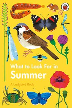 portada What to Look for in Summer (a Ladybird Book) (in English)