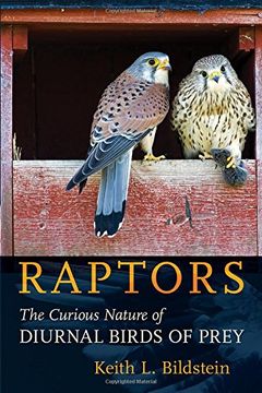 portada Raptors: The Curious Nature of Diurnal Birds of Prey (in English)