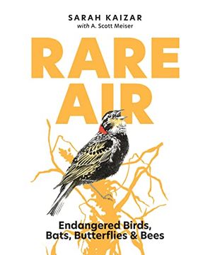 portada Rare Air: Endangered Birds, Bats, Butterflies, & Bees (en Inglés)