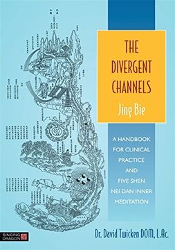 portada The Divergent Channels: Jing Bie: A Handbook for Clinical Practice and Five Shen Nei Dan Inner Meditation (en Inglés)