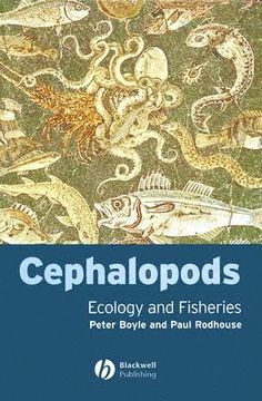 portada Cephalopods (en Inglés)