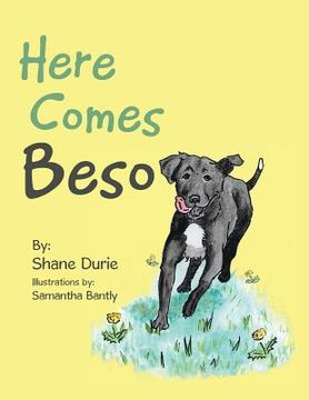 portada Here Comes Beso (en Inglés)