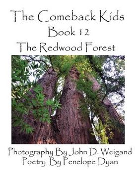 portada The Comeback Kids, Book 12, the Redwood Forest (en Inglés)