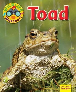 portada Wildlife Watchers: Toad 2017 (Ruby Tuesday Readers)